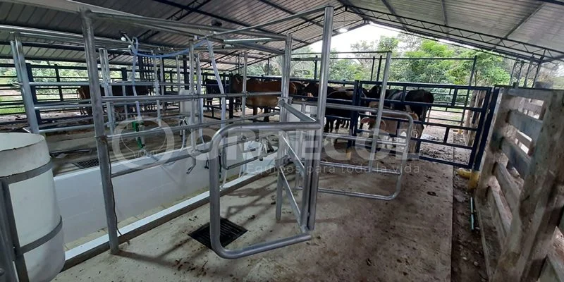 1 - Tame-Arauca-1-scaled