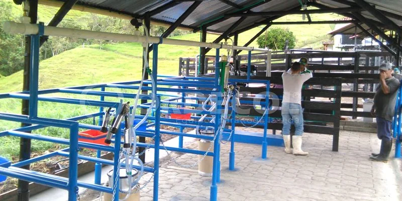 1 - Valle-del-Cauca-scaled