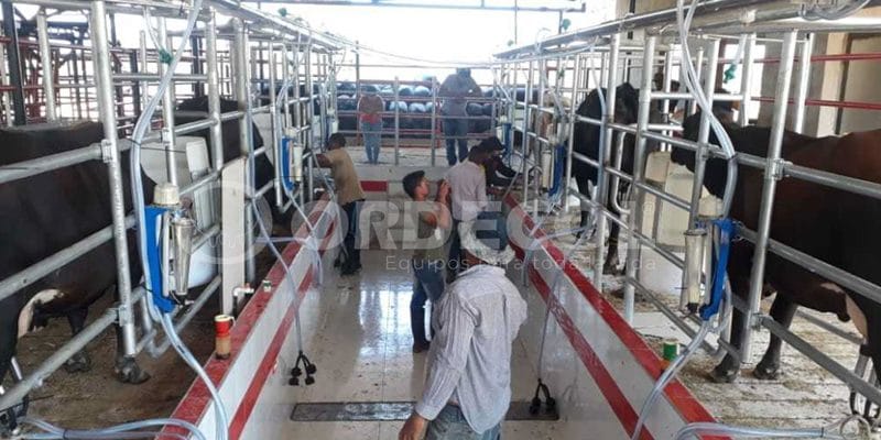 1 - curumani-1-scaled