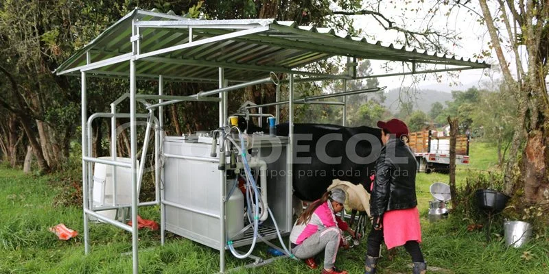 1 - ejemplo-Recuperado-scaled