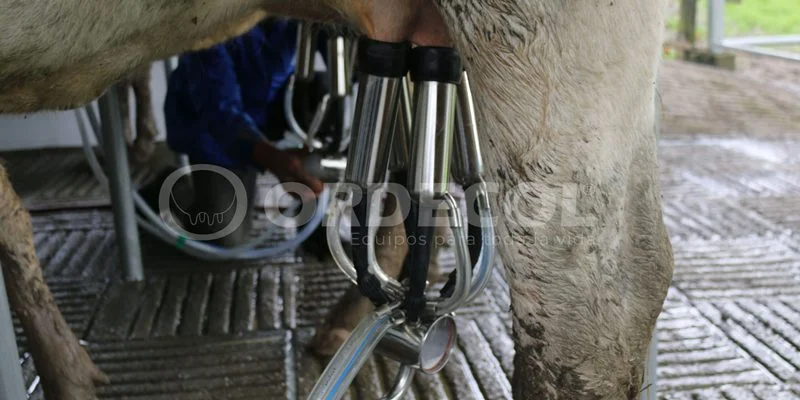 2 - Guacheta-2-scaled