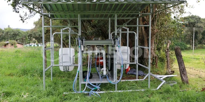 2 - Guatavia-1-scaled