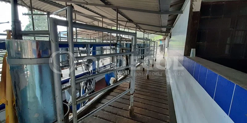 2 - Salento-Antioquia-2-scaled