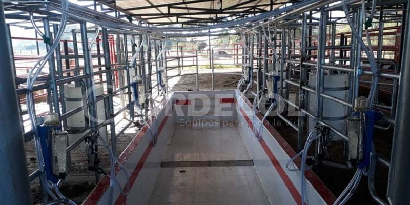 2 - curumani-2-scaled