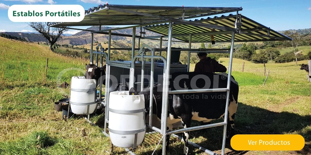Establos para Ordeño