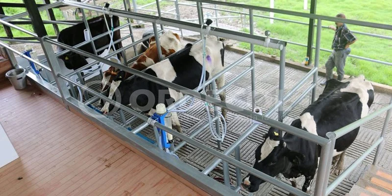 3 - Guacheta-3-scaled