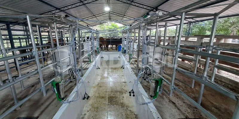 3 - Tame-Arauca-3-scaled