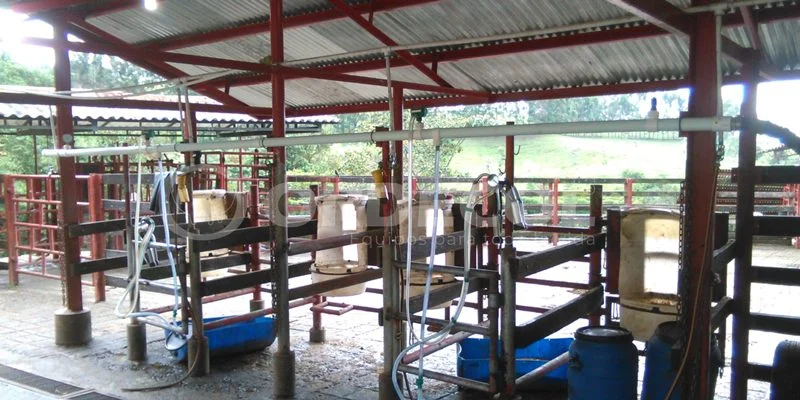 3- Valle-del-Cauca-3-scaled