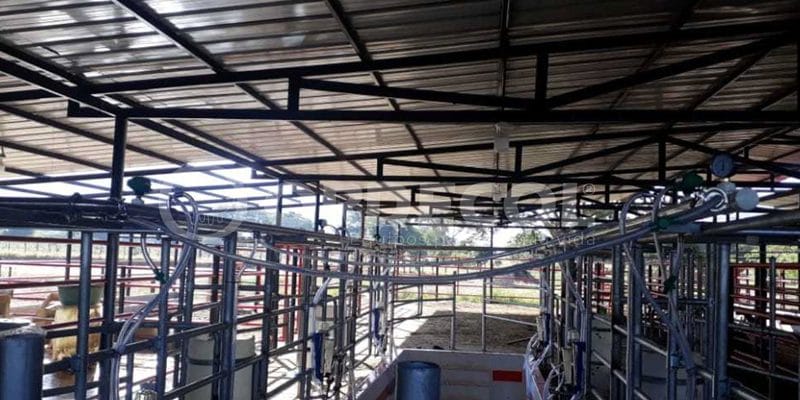 3 - curumani-3-scaled