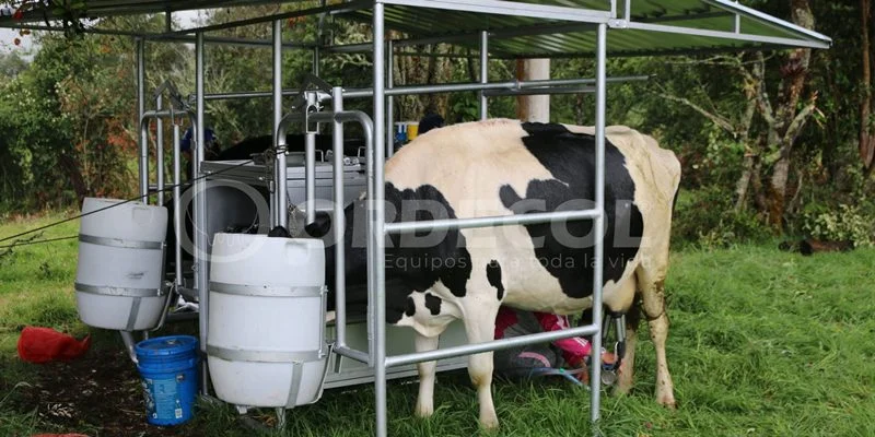 4 - Guatavia-3-scaled