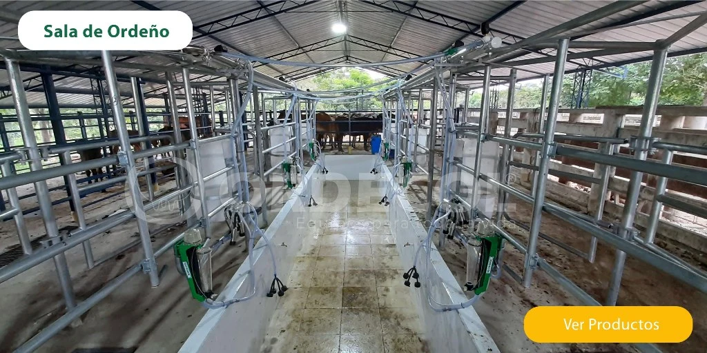 Sala de ordeño en colombia