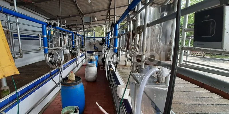 4 - Salento-Antioquia-4-scaled