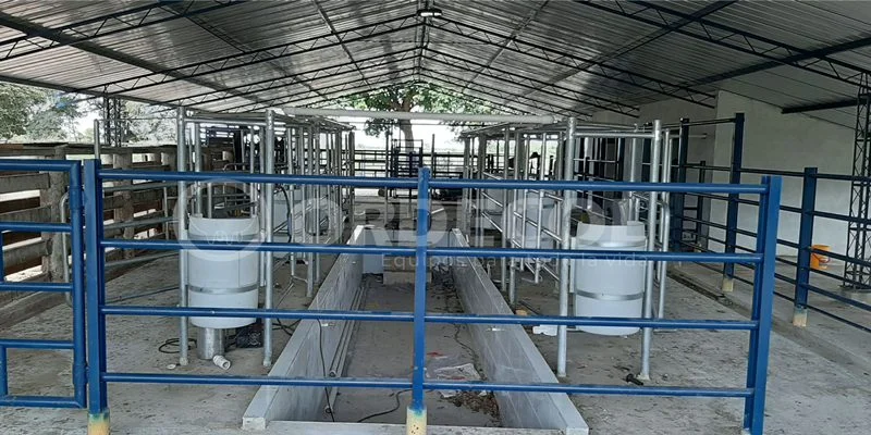 4 - Tame-Arauca-5-scaled