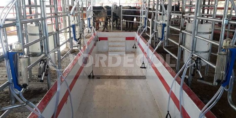 4 - curumani-4-scaled