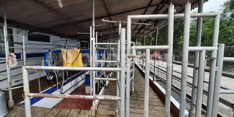 5 - Salento-Antioquia-5-scaled