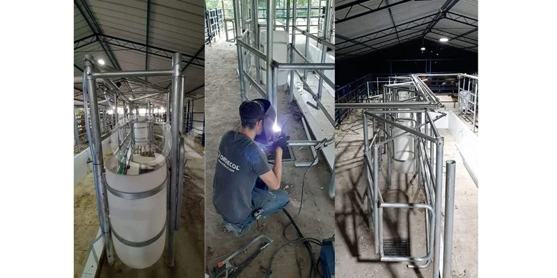 5 - Tame-Arauca-7-scaled