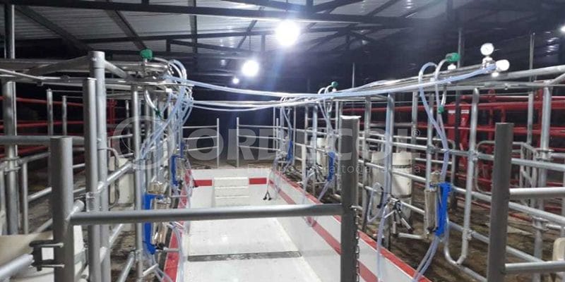 6 - curumani-6-scaled